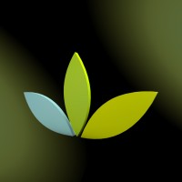 Platinum Africa Solutions Limited logo - Similar company to Evolution Consult