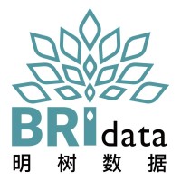 Beijing Bridata Technology Co.,Ltd. logo - Similar company to Jowell Global Ltd
