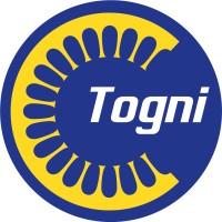 Togni Elettromeccanica SA logo - Similar company to Fairfild Srl
