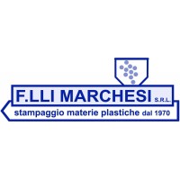 F.lli Marchesi Srl - Stampaggio materie plastiche logo - Similar company to Mg | Lavorazione Materie Plastiche