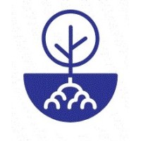 McIndoe Risk Advisory LLC logo - Similar company to Innovation Network Global