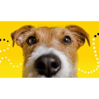 Pets and People logo - Similar company to Kalach Apparels