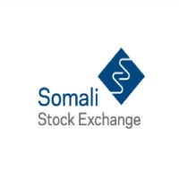 Somali Stock Exchange logo - Similar company to Hayaan Tech