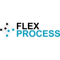Flex Process Ltd logo - Similar company to Iconic Simulation Ltd