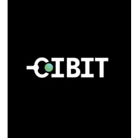 Cibit logo - Similar company to Manejebem