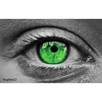 Vigile verte logo - Similar company to Benditoagro