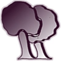 Plum Trees Consulting Ltd
