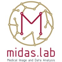 MIDAS Lab logo - Similar company to Centre For Networked Intelligence
