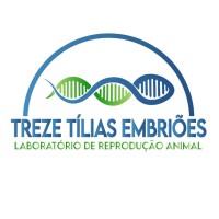 Treze Tílias Embriões logo - Similar company to Verok - Soluções Digitais