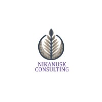 Nikanusk Consulting logo - Similar company to Squarely Accessible