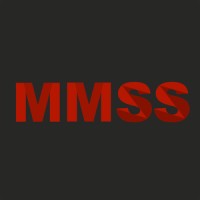 MMSS logo - Similar company to Ethscriptions