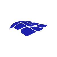 NextWave Integrated Solutions logo - Similar company to Digilign