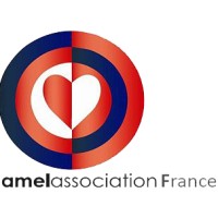 Amel France logo - Similar company to Ong Marem