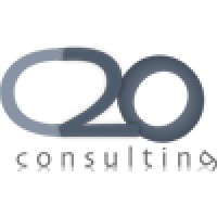 C20 Consulting