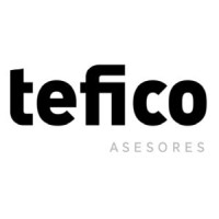TEFICO Asesores logo - Similar company to Tfico