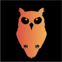 AI After Night logo - Similar company to Growthforgeai