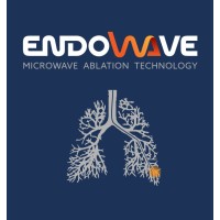 Endowave logo - Similar company to Maya Data Privacy Limited