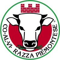 Coalvi logo - Similar company to Mfc Srl