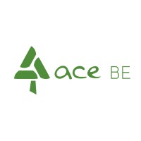 ACE Belgium logo - Similar company to Hedra Nederland