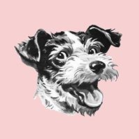 Hair Of The Dog Biscuit Co.