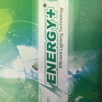 Energy+ Electric & Electronics Pvt. Ltd. logo - Similar company to Haven Group