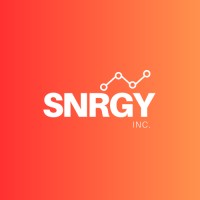 Snrgy Inc logo - Similar company to Avyon Consulting Group