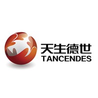 Tancendes logo - Similar company to Train-By-Wire | Tbw