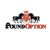 PoundOption logo - Similar company to Profesi.Com