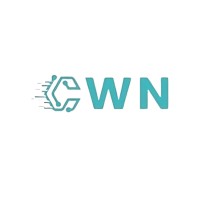 Code With Naqvi logo - Similar company to Logic Strings