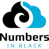 Numbers in Black Inc logo - Similar company to Accountoc.Com