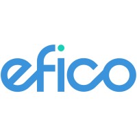 Efico Solutions Inc. logo - Similar company to Careplan.Ai