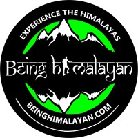Being Himalayan logo - Similar company to Sarreal Studio