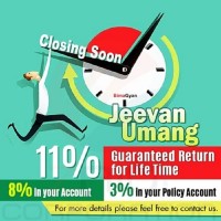 YB Invest & Insure- A Insurance and finance company
