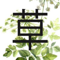 Integrative Translations logo - Similar company to Pure Language Services, Inc.
