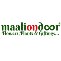 Maaliondoor Services Pvt. Ltd. logo - Similar company to Codynex Solutions
