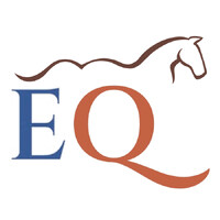 EQ Consulting logo - Similar company to Seachange Resources, Llc