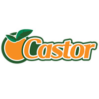 Castor Alimentos Oficial logo - Similar company to Pajomar Distribuição De Alimentos