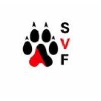 Northeastern University Student Value Fund logo - Similar company to Northeastern University Student Value Fund