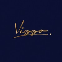 Viggo logo - Similar company to Viggo Group