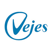 Vejes logo - Similar company to Iris It