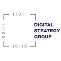 Digital Strategy Group (DSG) logo - Similar company to Bcs Data Management Specialist Group