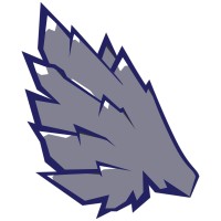 Soaring.Digital logo - Similar company to Dc407