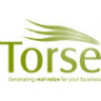 Torse Ltd logo - Similar company to Proactive Networks