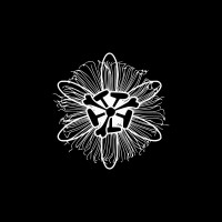 GUZ logo - Similar company to Chika Coffee Roasters