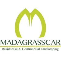 Madagrasscar logo - Similar company to Friends With Holograms