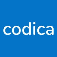 codica logo - Similar company to Codica