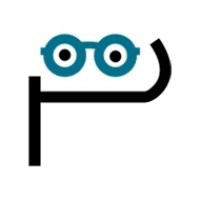 PerfectionGeeks Technologies logo - Similar company to Shiryu Software