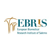 Fondazione EBRIS logo - Similar company to Endotarget Eu Project