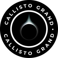 Callisto Grand logo - Similar company to Consider Solutions