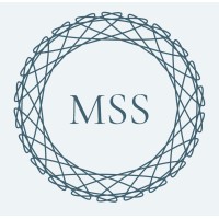 Mittal Swarup & Srinivasan Law Chambers logo - Similar company to Deep Info Lab